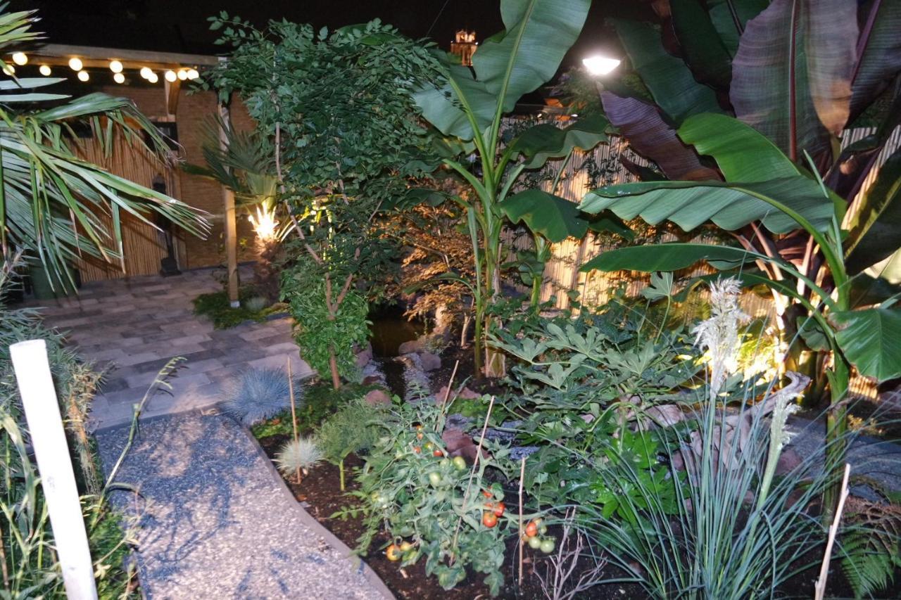 Jungle Stay In A Hidden Paradise Zwijndrecht Exteriör bild