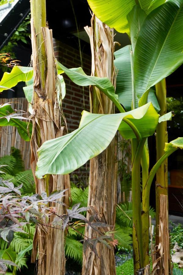Jungle Stay In A Hidden Paradise Zwijndrecht Exteriör bild