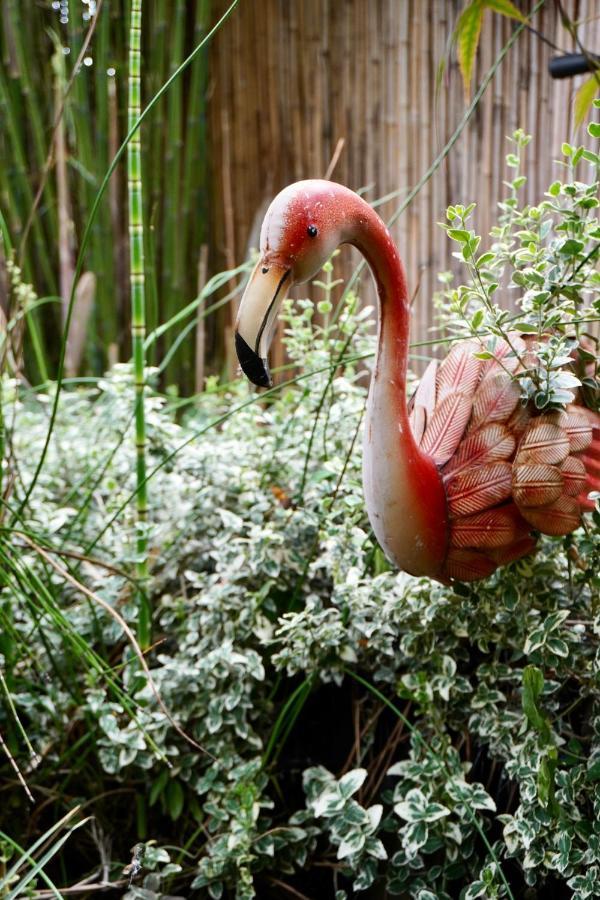 Jungle Stay In A Hidden Paradise Zwijndrecht Exteriör bild