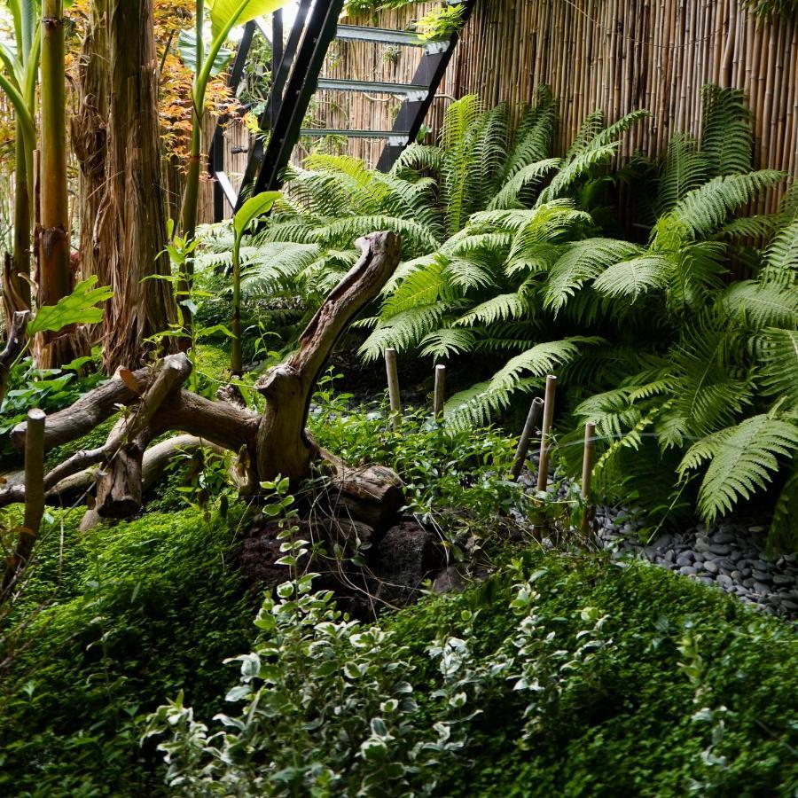 Jungle Stay In A Hidden Paradise Zwijndrecht Exteriör bild