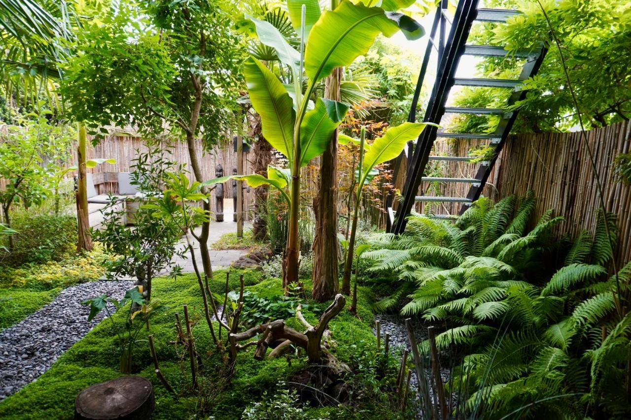 Jungle Stay In A Hidden Paradise Zwijndrecht Exteriör bild