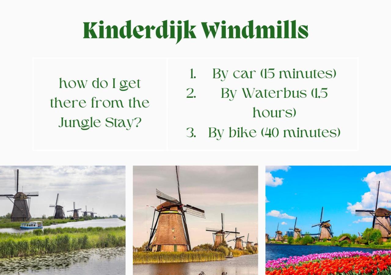 Jungle Stay In A Hidden Paradise Zwijndrecht Exteriör bild